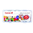 Kép 1/2 - Akrilfesték szett 12x15ml ecsettel és 2 képpel Camlin
