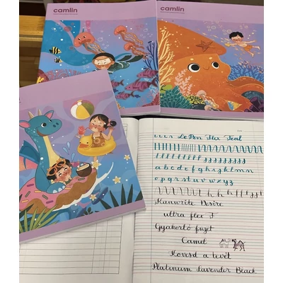 Iskolai füzet 25,5x20,5cm 80lap 4 vonalas Camlin